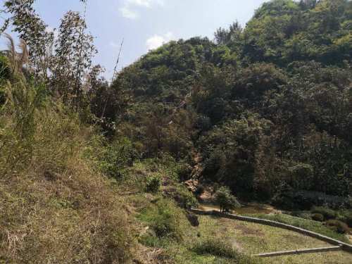冷水瀑布旅行图片 1