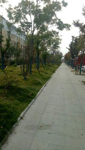 颍泉路游园旅行图片 1