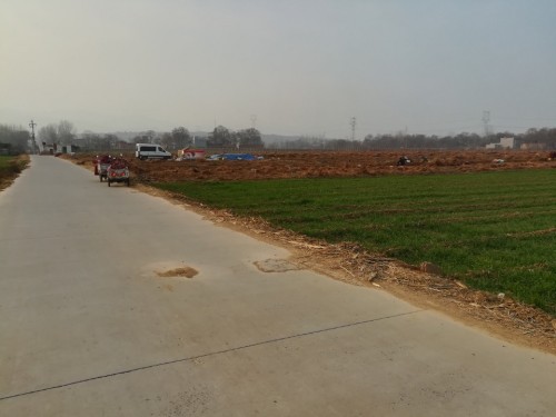 原始社会灰咀遗址旅行图片 1