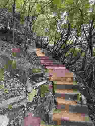 钟山公园旅行图片 3