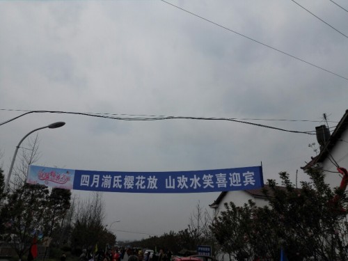 龙泉村樱花谷旅行图片 3