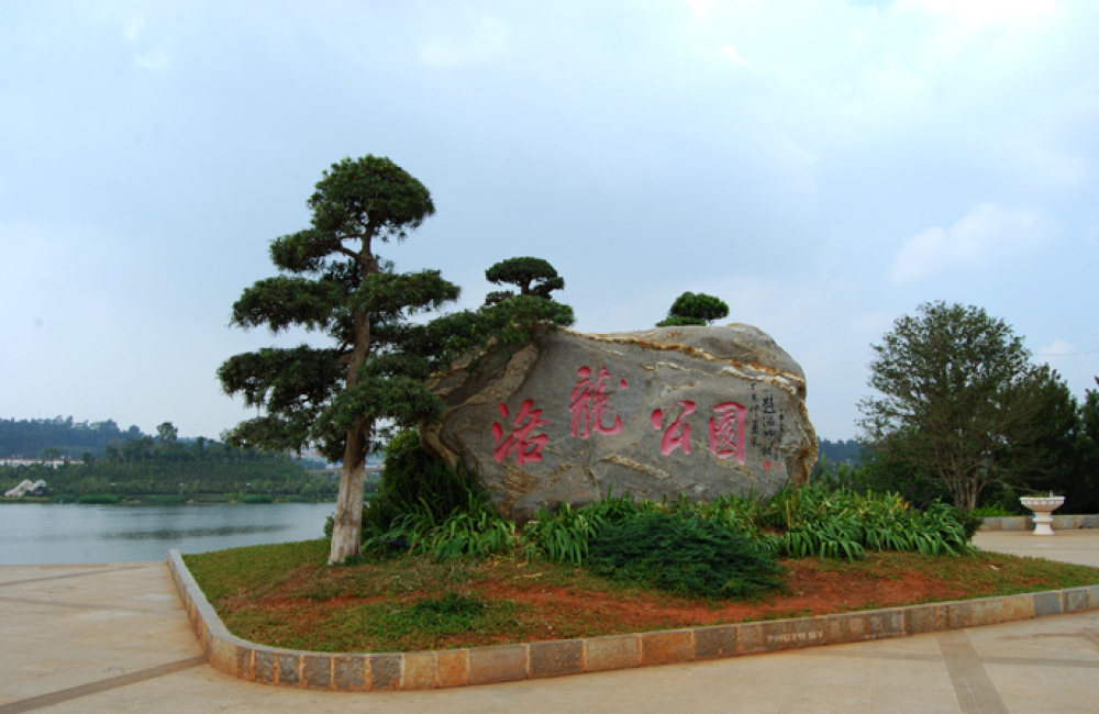 洛龙公园景点图片