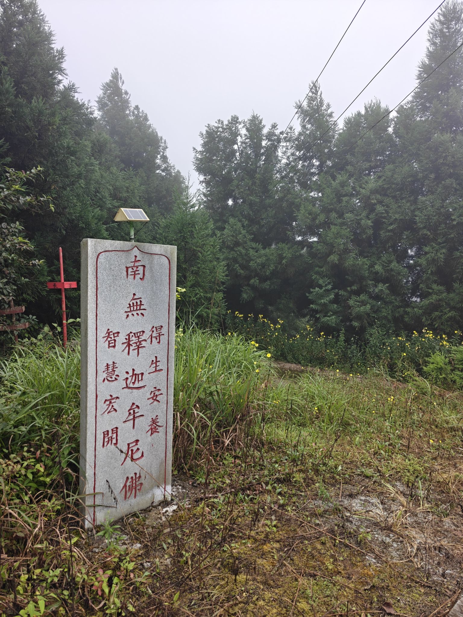 虎形山花瑶风景名胜区-佛来山寺庙实景照片