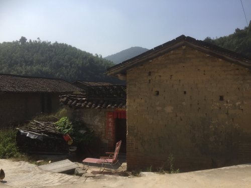 深坑蛇影旅行图片 1