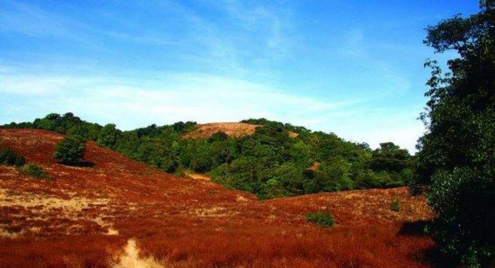 高黎贡山自然公园景点图片