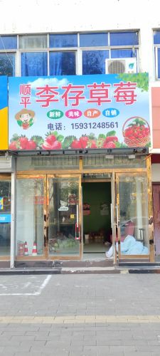 顺平李存草莓