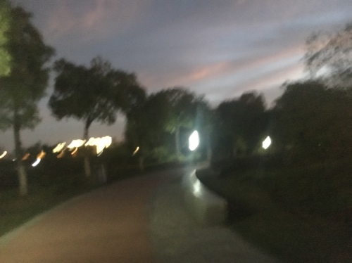 茉湖公园旅行图片 3