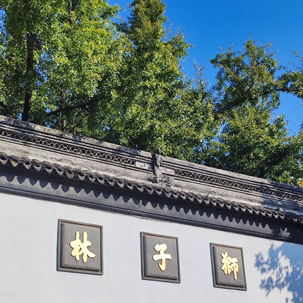 狮子林景点图片