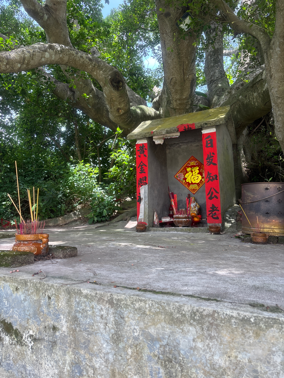 中径村八十弯榕树伯公庙实景照片
