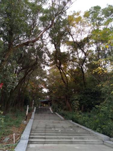 人民公园旅行图片 2