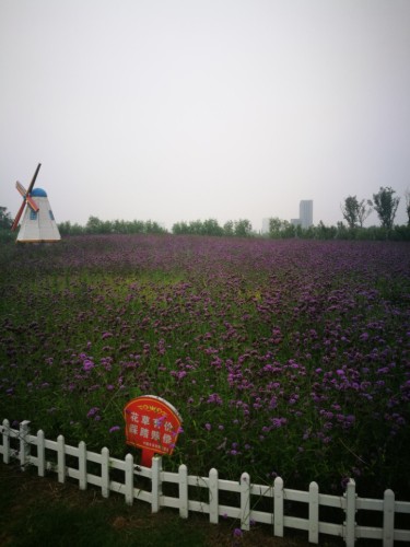 凤鸣泉旅行图片 1