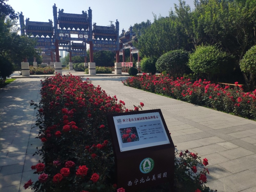 北山美丽园湿地公园景点图片