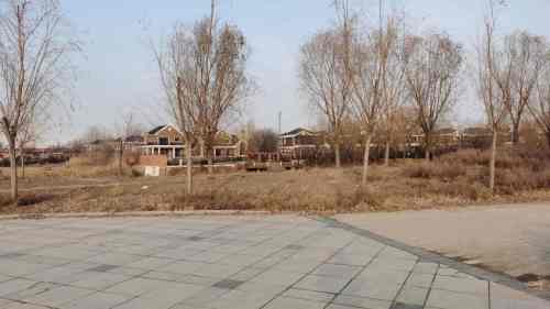 鲍邱河公园旅行图片 1