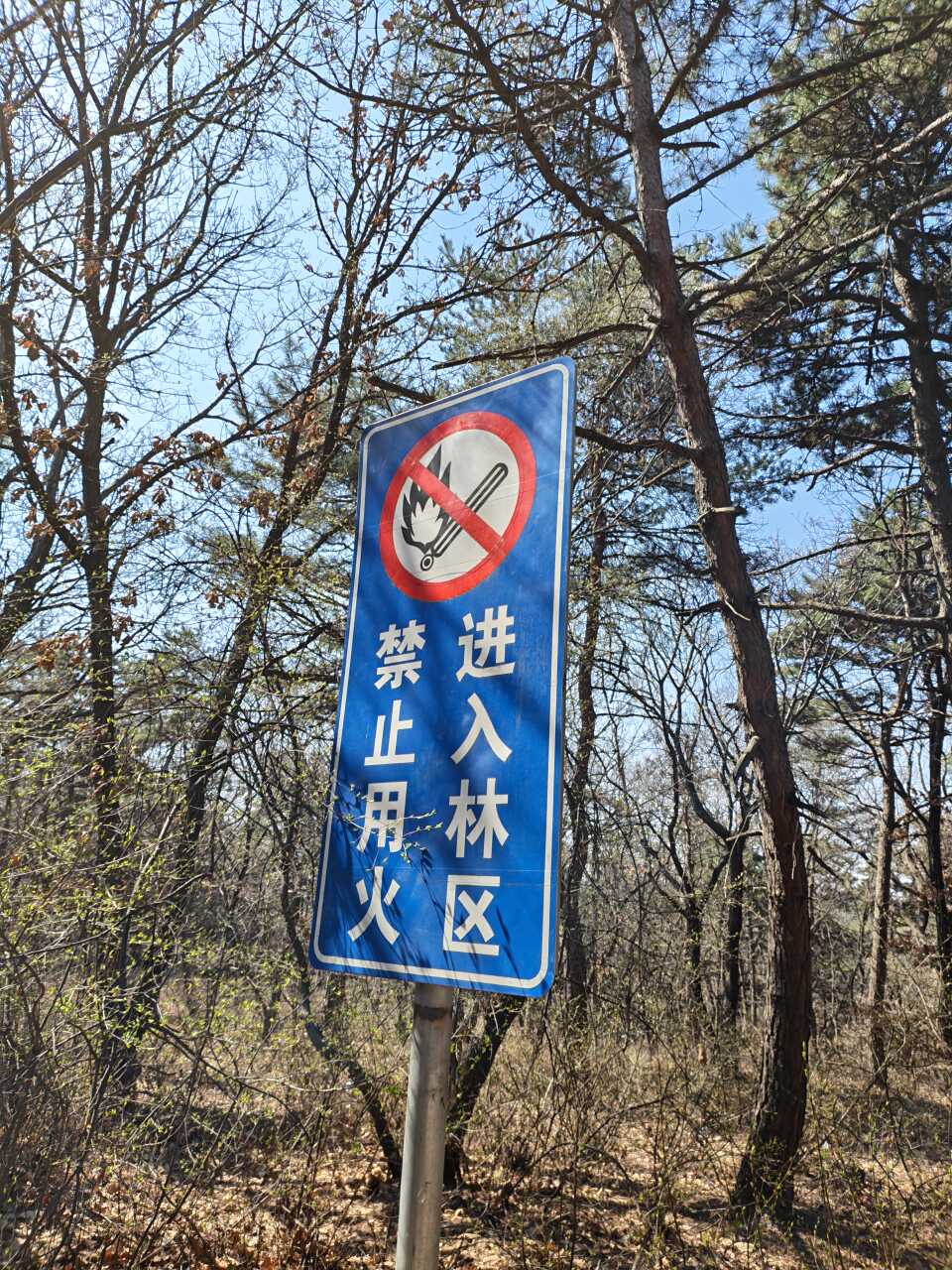 风景区纪念林南区