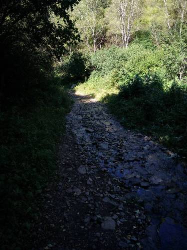 金莲山庄旅行图片 3