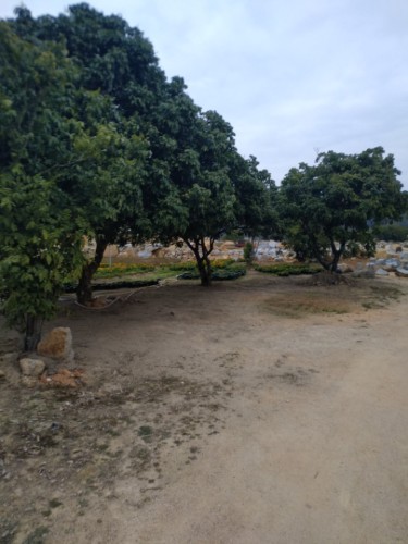 莲华乡村旅游区旅行图片 1