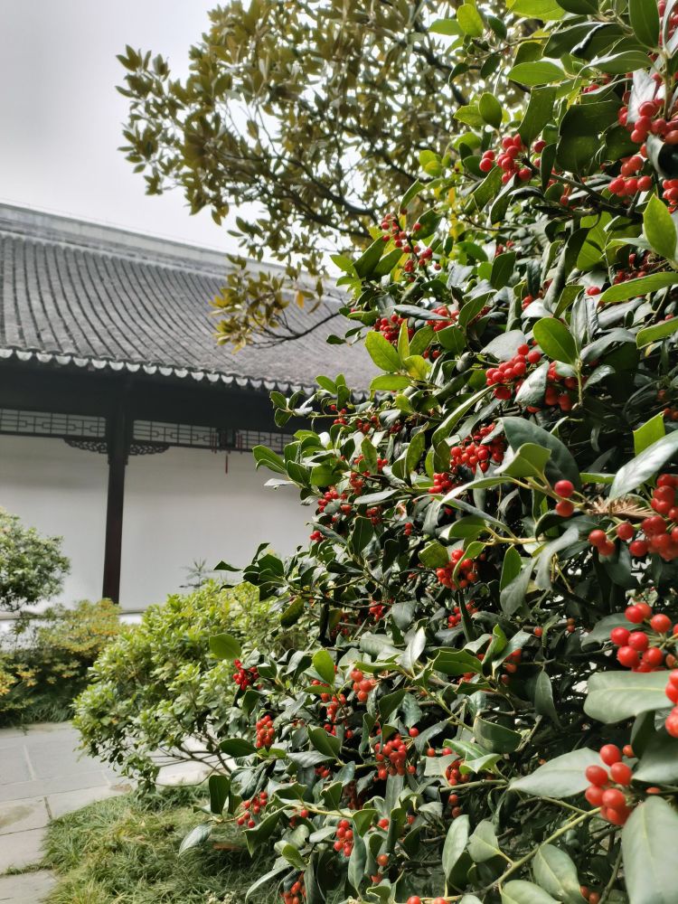 瞻园景点图片