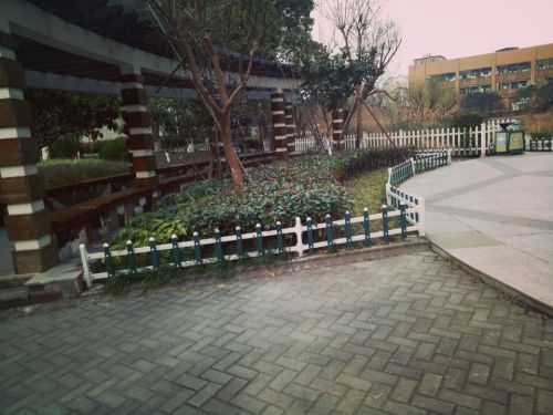 金沙公园旅行图片 3