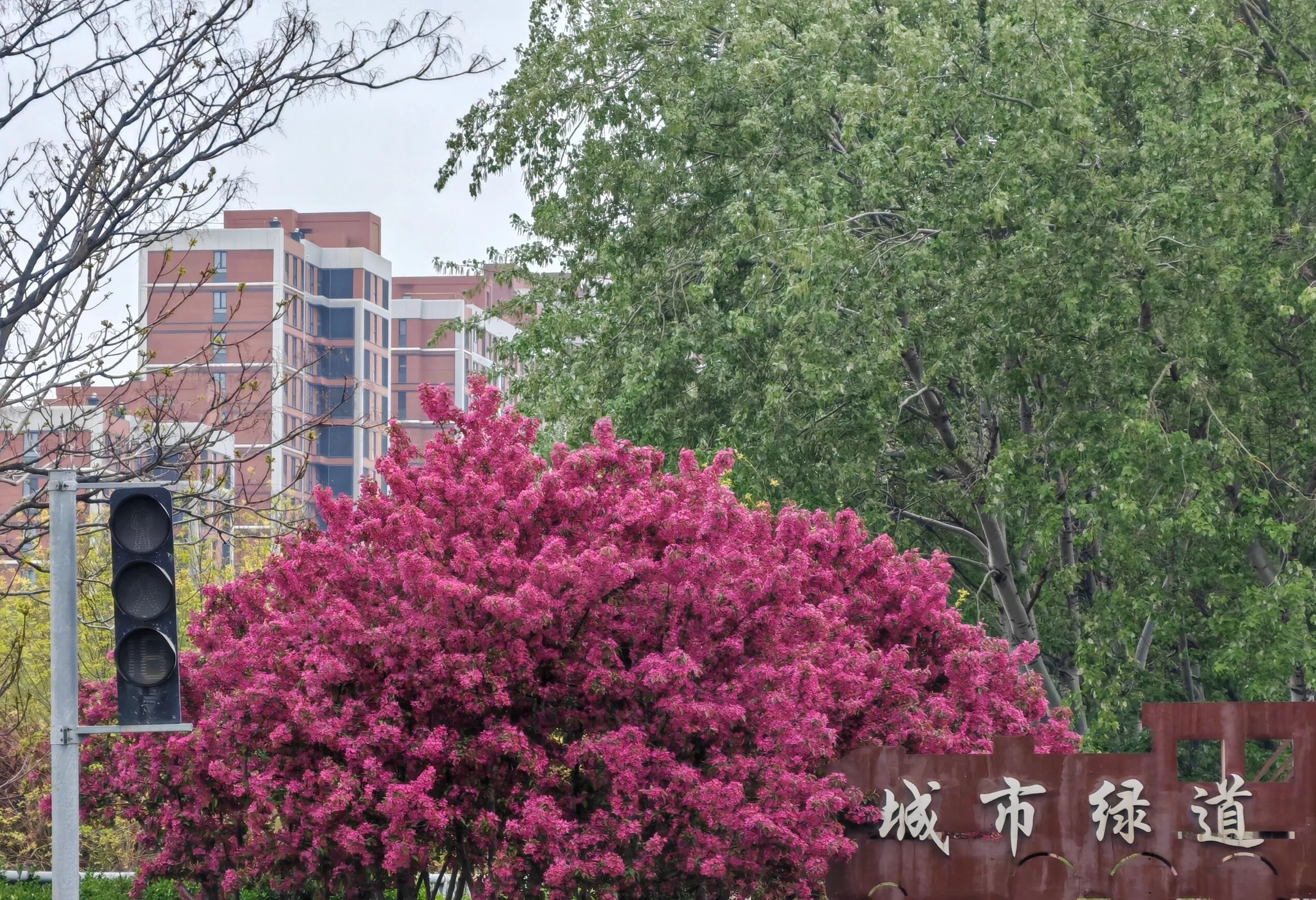 绿道公园