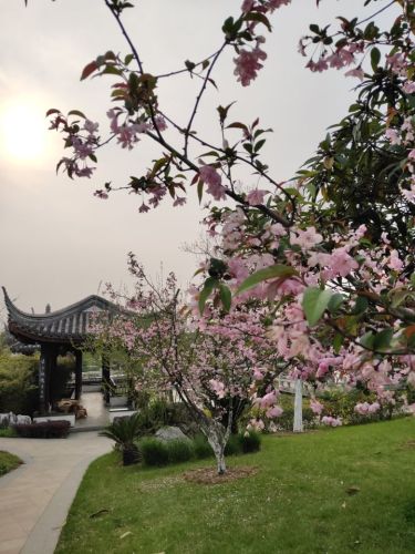 水木柴门旅行图片 2