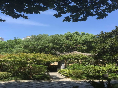 天原公园旅行图片 1