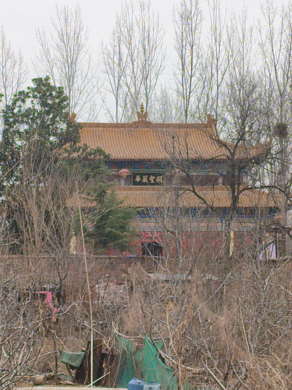 华严圣殿实景照片