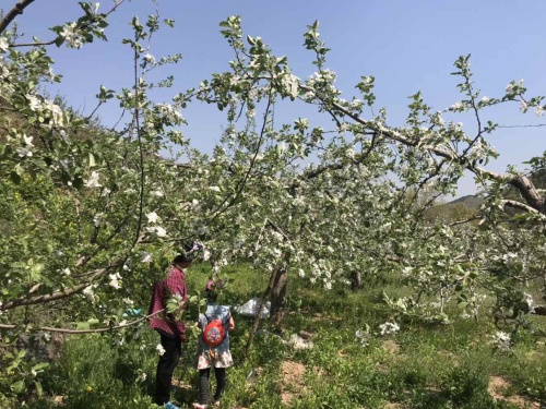 牙山省级自然保护区(不对外开放)旅行图片 1