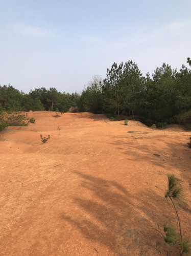 网纹红土公园旅行图片 2
