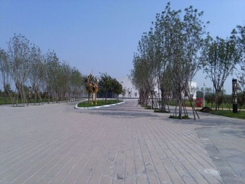 兰花文化休闲公园旅行图片 3