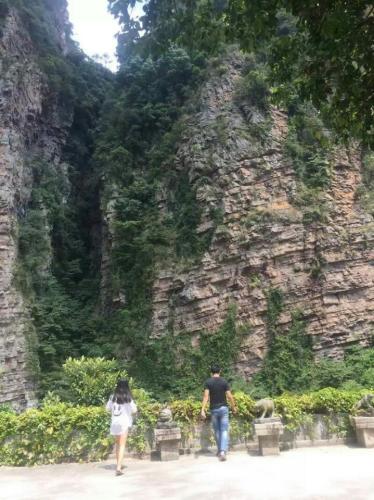 七星顶保护区旅行图片 1