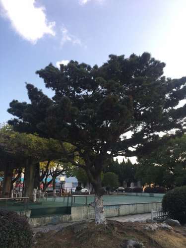 未名园旅行图片 1