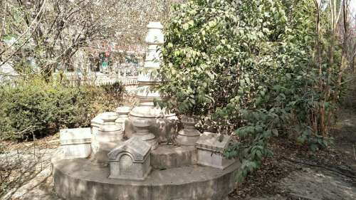 风情园旅行图片 3