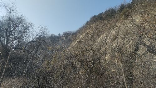 五层山