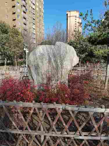 南溪园旅行图片
