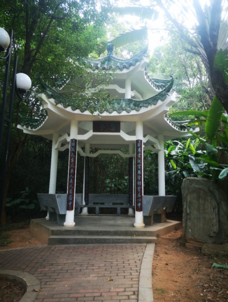 莲花山公园景点图片