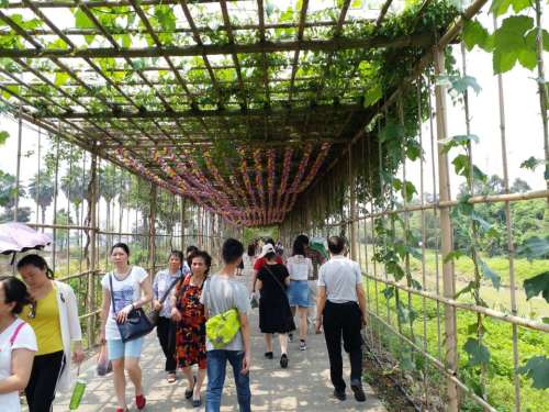 大稳村公园旅行图片 1