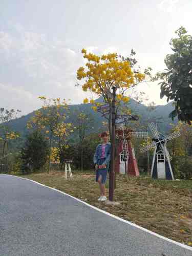 派阳山森林公园旅行图片