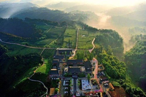 天福观光茶园旅行图片 1