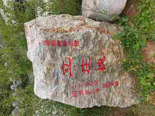 张兴立庄槐旅行图片 2