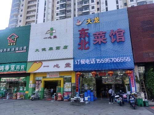 大龙东北菜馆