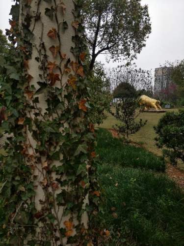 早元游园旅行图片 1
