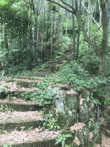 九龙潭景区旅行图片 3