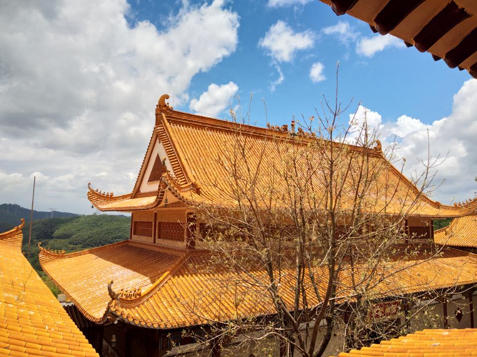 深圳仙湖植物园-弘法寺实景照片