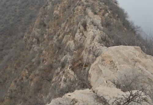 狗牙山旅行图片 2