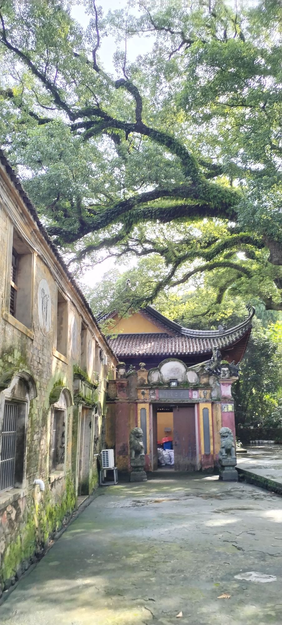流庆禅寺实景照片