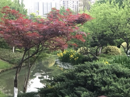 知章公园旅行图片 2