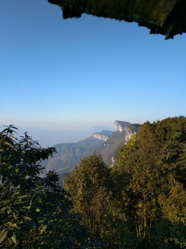 大沙河银杉自然保护区旅行图片 2