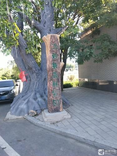 汾西县森林公园