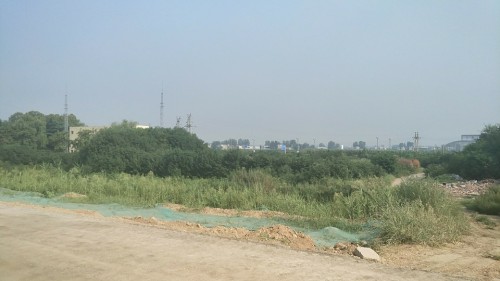张仪苏秦墓旅行图片 3