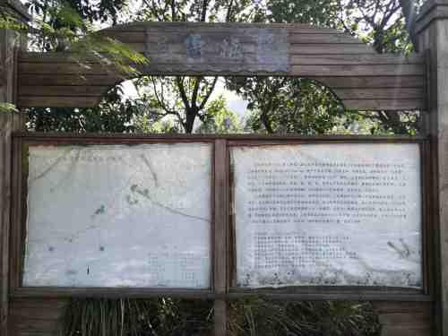 大帽山三角梅园旅行图片 1